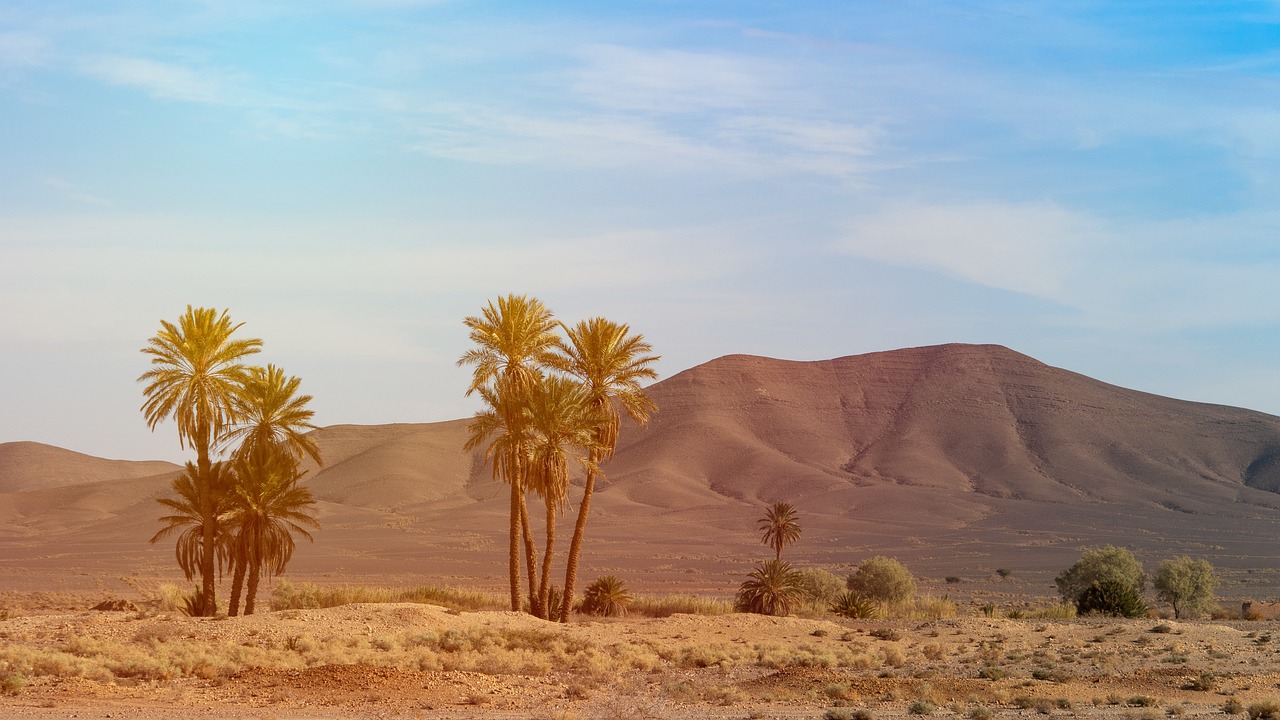 Traveling Green - How to Reduce Your Impact in the Sahara Desert